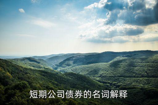 什么叫銀行短期債券，我國銀行的短期借入債市場是什么呢謝謝回答