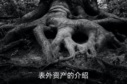 什么是表外資金，表外資產的介紹