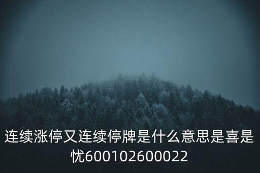 600139連續(xù)停牌是什么意思，股票連續(xù)停牌是什么意思