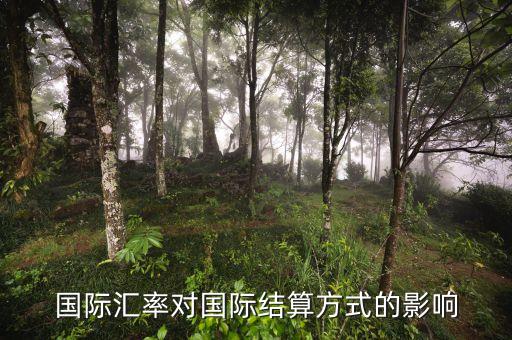 什么是浮動(dòng)匯率制度，懸將小日月 照澈大乾坤 適宜在什么場(chǎng)合張貼 雖云毫末技藝 卻是頂上功