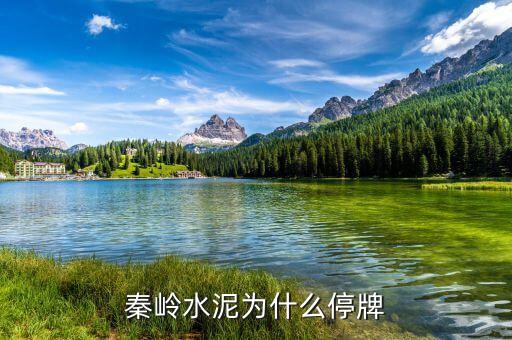 st秦嶺股票什么時候復牌，600217秦嶺水泥多會能復牌