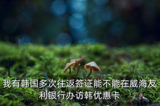 訪韓優(yōu)惠卡有什么作用，我有韓國多次往返簽證能不能在威海友利銀行辦訪韓優(yōu)惠卡