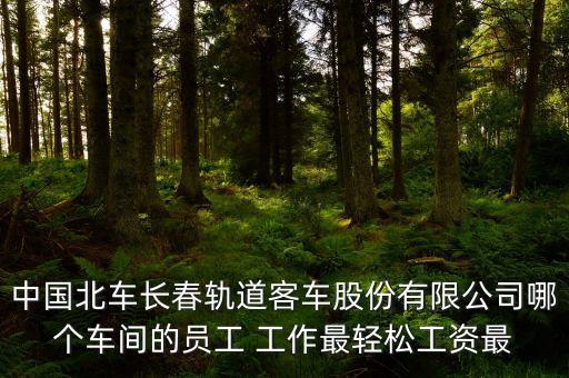 長春北車轉(zhuǎn)向架都有什么車間，中國北車長春軌道客車股份有限公司哪個車間的員工 工作最輕松工資最