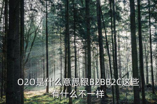 美菜網o2o是什么，O2O是什么意思跟B2BB2C這些有什么不一樣