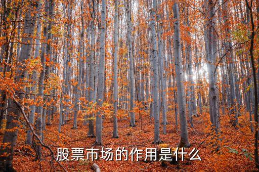 股票交易市場有什么意義，股票市場的作用是什么