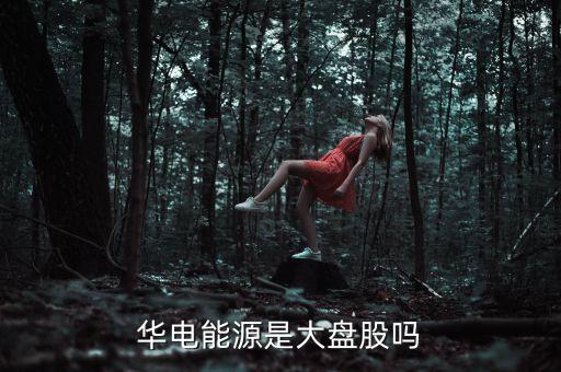 華電能源是什么公司，內(nèi)蒙華電 屬于五大電力集團(tuán)的哪一家
