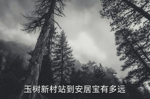 玉樹安居寶是做什么的，玉樹新村站到安居寶有多遠(yuǎn)