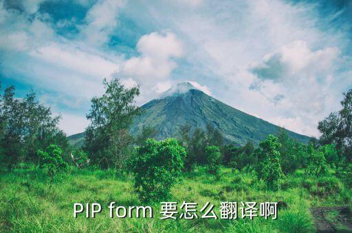 公司pip什么意思，Pip meets a stranger