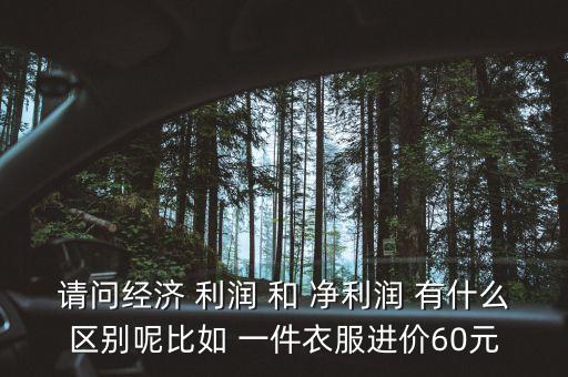 請(qǐng)問經(jīng)濟(jì) 利潤 和 凈利潤 有什么區(qū)別呢比如 一件衣服進(jìn)價(jià)60元