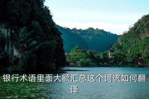 大額匯兌是什么意思，銀行術(shù)語里面大額匯總這個詞該如何翻譯