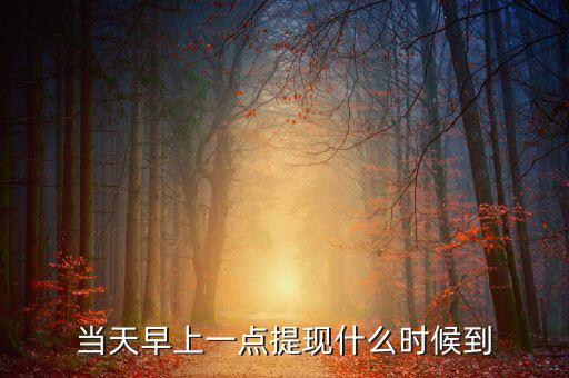海納幣什么時候提現(xiàn)，你們那里說什么時候可以提現(xiàn)嗎