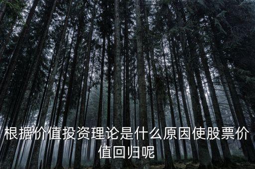 為什么價(jià)值投資策略的超額回報(bào)，為什么說(shuō)股市長(zhǎng)期投資是風(fēng)險(xiǎn)小回報(bào)高