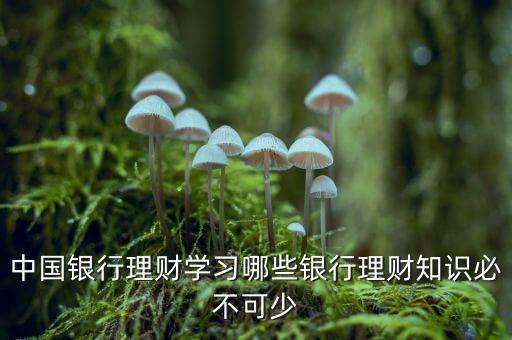中國銀行理財(cái)學(xué)習(xí)哪些銀行理財(cái)知識必不可少