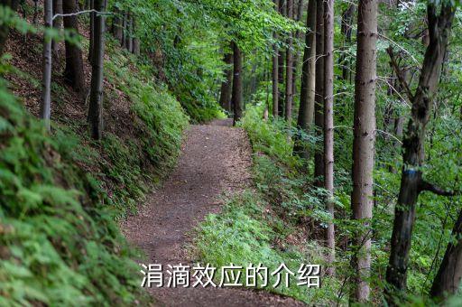 政府為什么要救濟窮人，有depend on sb to do sth嗎