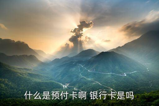 什么是預(yù)付卡受理業(yè)務(wù)，什么是預(yù)付卡啊 銀行卡是嗎