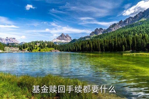 基金贖回需帶什么，基金贖回手續(xù)都要什么