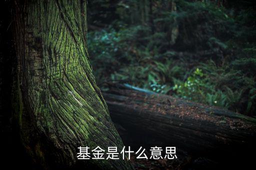 一張圖看懂什么是基金，什么是基金
