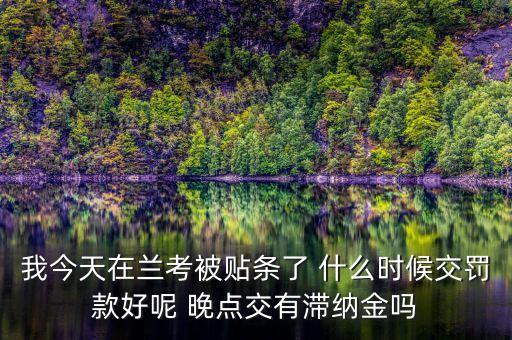 我今天在蘭考被貼條了 什么時候交罰款好呢 晚點交有滯納金嗎