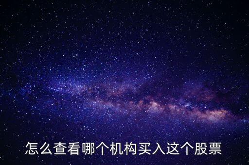 怎么查看哪個機(jī)構(gòu)買入這個股票