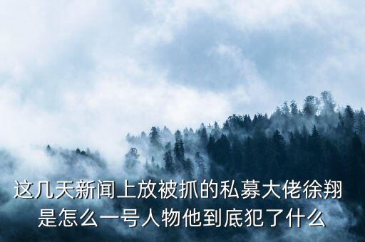 徐翔為什么會抓，澤熙投資徐翔為什么被抓徐翔被抓后私募怎么辦