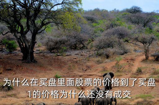 為什么股票買(mǎi)一價(jià)不交易，為什么在買(mǎi)盤(pán)里面股票的價(jià)格到了買(mǎi)盤(pán)1的價(jià)格為什么還沒(méi)有成交