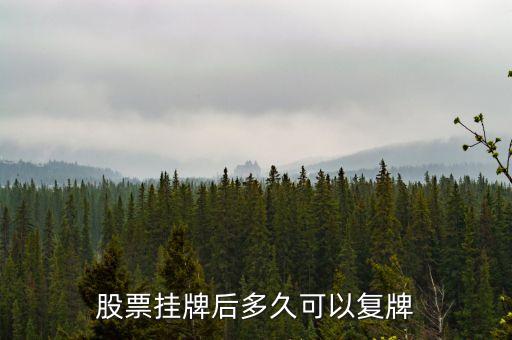 上汽集團(tuán)股票什么時(shí)候復(fù)牌，600303什么時(shí)間復(fù)牌