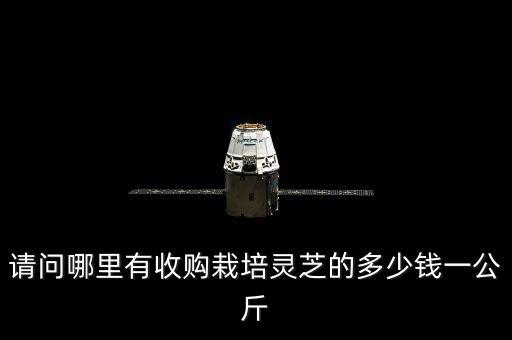 請(qǐng)問哪里有收購(gòu)栽培靈芝的多少錢一公斤