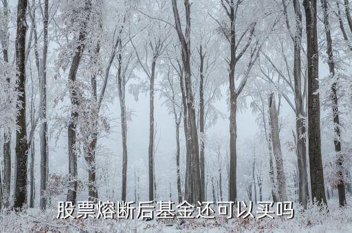 股票熔斷后基金還可以買(mǎi)嗎