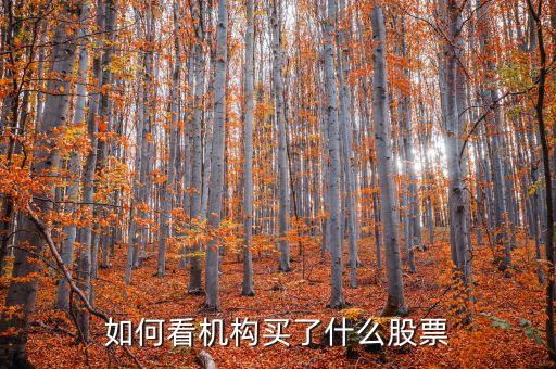 如何看機(jī)構(gòu)買了什么股票，如何看機(jī)構(gòu)買了什么股票
