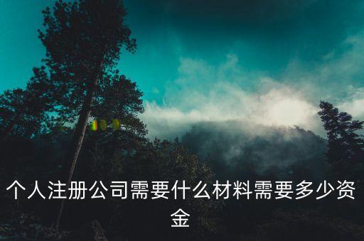注冊(cè)個(gè)像三全這樣的公司需要什么，注冊(cè)新公司需要帶什么資料去工商局那里呀