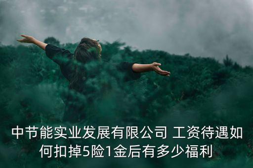 中節(jié)能集團什么級別，中節(jié)能實業(yè)發(fā)展有限公司 工資待遇如何扣掉5險1金后有多少福利