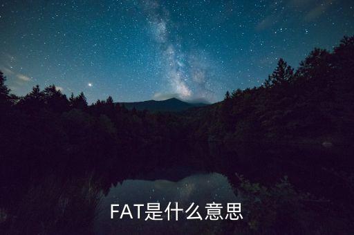 fatca指什么，FAT是什么意思