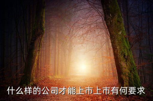 什么樣的公司可以上市，什么樣的公司才能上市上市有何要求