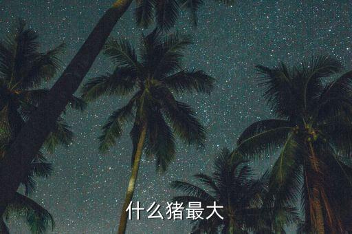 什么豬最大能長(zhǎng)40金，什么豬最大