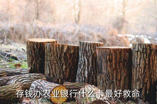 農(nóng)業(yè)銀行定存10萬辦什么卡更好，十萬能在農(nóng)行里辦理一張什么樣的卡呢