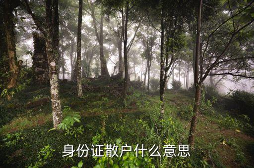 身份證住址顯示散戶是什么意思，哪位知道戶籍中所說(shuō)的散戶是什么意思