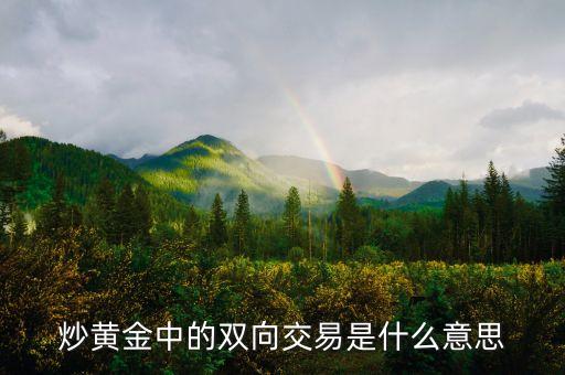 貴金屬雙向交易什么意思，貴金屬雙向交易是什么意思