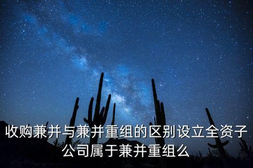 新設立子公司算什么合并，新設立1全資子公司算同1控制下合并