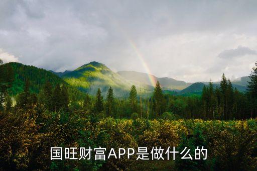 長(zhǎng)來(lái)財(cái)富是做什么的，國(guó)旺財(cái)富APP是做什么的
