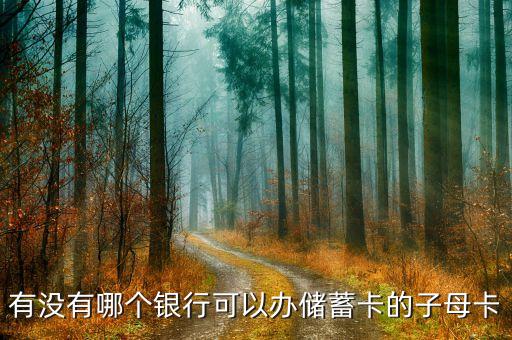 什么銀行借記卡可以辦親情卡，有沒有哪個銀行可以辦儲蓄卡的子母卡
