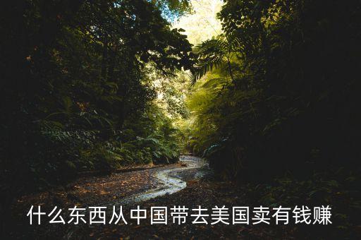 中國(guó)賣(mài)什么到國(guó)外賺錢(qián)，什么東西從中國(guó)帶去美國(guó)賣(mài)有錢(qián)賺