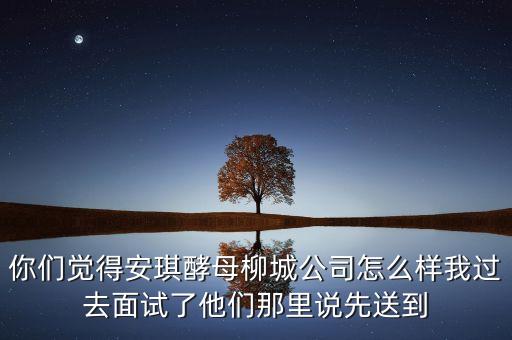 你們覺得安琪酵母柳城公司怎么樣我過(guò)去面試了他們那里說(shuō)先送到