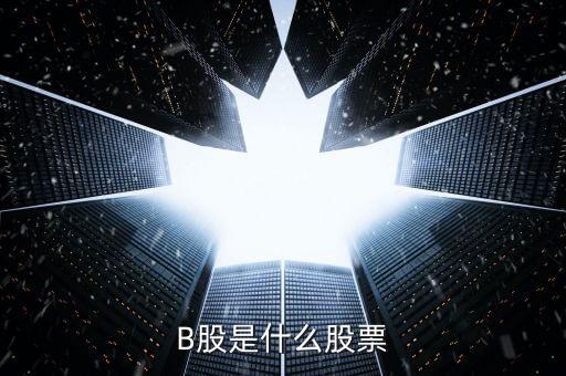南江b股改成什么股，b 股什么股票