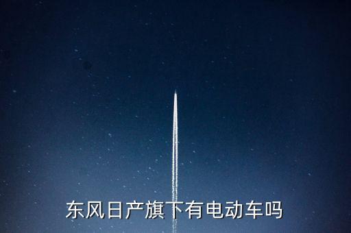 東風日產旗下有電動車嗎