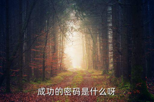 推特自己創(chuàng)建成功密碼是什么，成功的密碼是什么呀