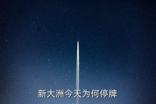 新大州a什么時候復牌，公告出來了請懂行的解釋一下什么時候可以復牌