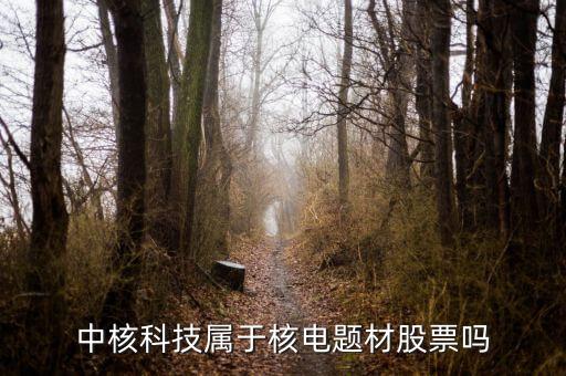 中核科技是什么板塊，中核科技屬于核電題材股票嗎