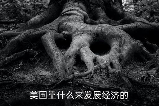 美國(guó)經(jīng)濟(jì)靠什么，美國(guó)靠什么來發(fā)展經(jīng)濟(jì)的