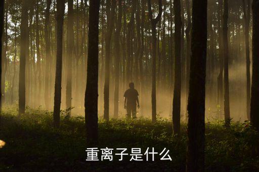 質(zhì)子重離子是什么意思，重離子是什么