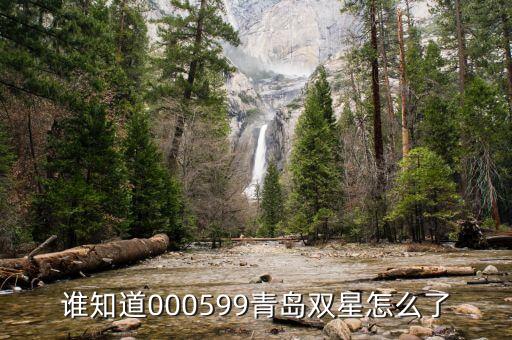 青島雙星什么時候復(fù)牌，000560各位大神知道啥時候復(fù)牌